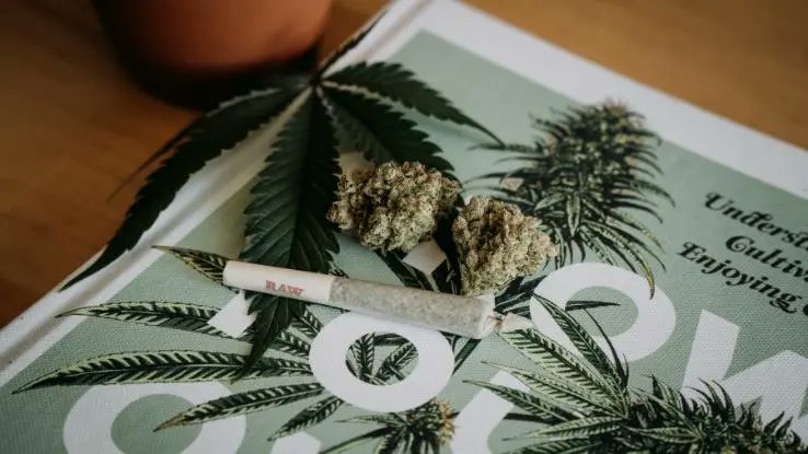 AskDotCom's tweet photo. Are #cannabis stocks a once-in-a-generation investing opportunity? https://t.co/6gXcwJNSET

$MSOS $THCX $CNBS $CRON $ACB $TLRY $SNDL $SMG $GRWG $IIPR https://t.co/HlIDHIGMiF