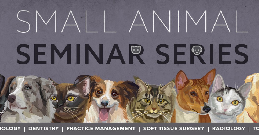 Tweet by Michigan VMA