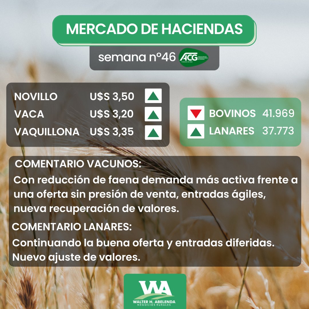 WALTER H.ABELENDA tweet media