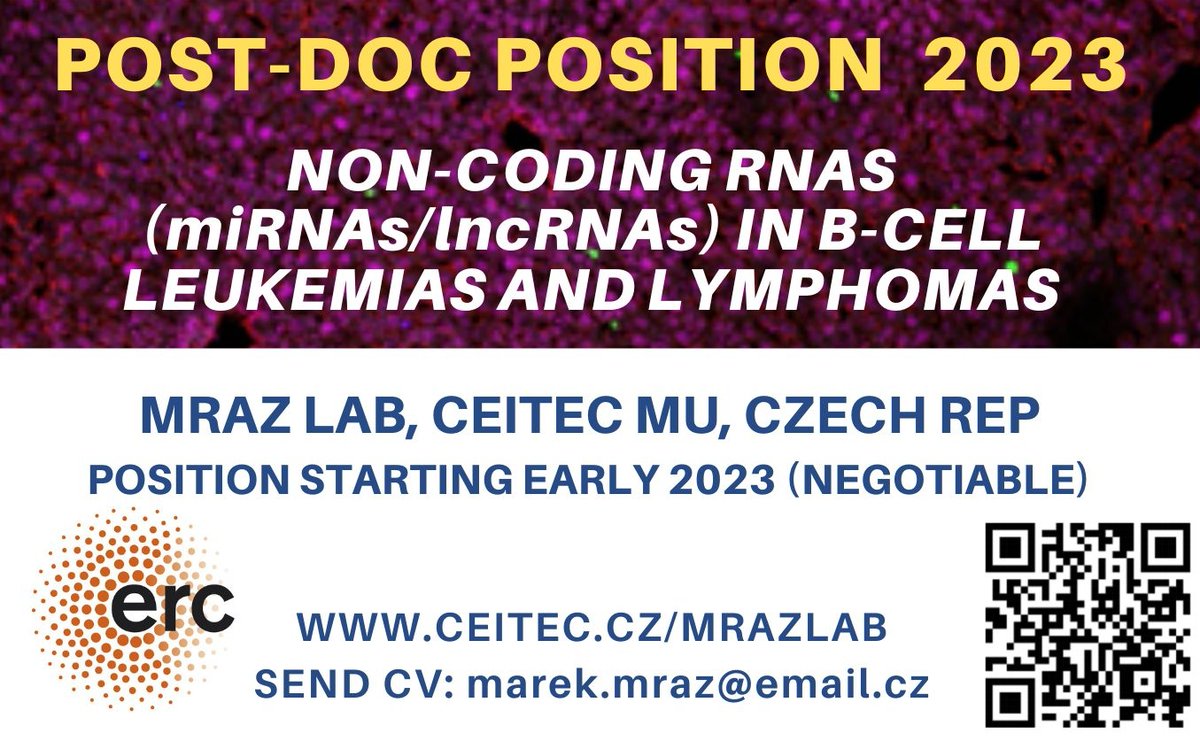 Mraz Lab tweet media