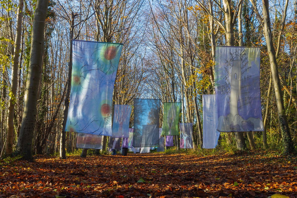 CambridgeCandI's tweet image. Our Fantastical Forest will be back in the magnificent Beach Avenue @WandleburyWoods on Saturday 26th November, 10.30 - 3pm, marking #treecharter @WoodlandTrust. Celebrating creativity, community and our natural world. Co-created with 12 communities across @CambsCC. All welcome.