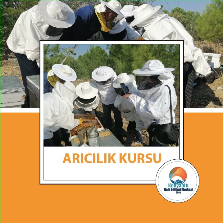 HalkKonyaalt's tweet photo. Arıcılık Kursu https://t.co/HAuKFAQr5o