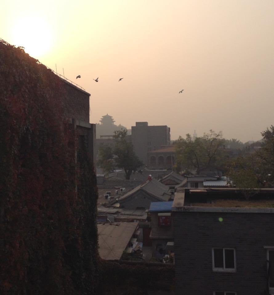 Neysun Mahboubi on Twitter "tongbingxue My version of a similar scene