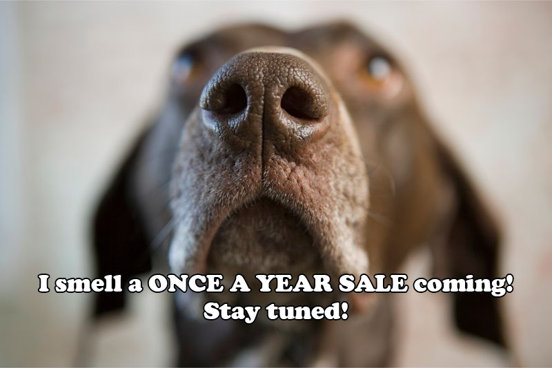 GenSolDiagnost1's tweet photo. 🐶 The event of the year you have been waiting for is just around the corner at https://t.co/Bd8lhVQD0H! 

#CyberMonday2022 Fast, Accurate, Affordable Canine Genetic Testing

#ShadeOutDM #CanineHealth #vettech #petsarefamily #doglife #veterinarymedicine #DogBreeder https://t.co/ezO9lAMj10