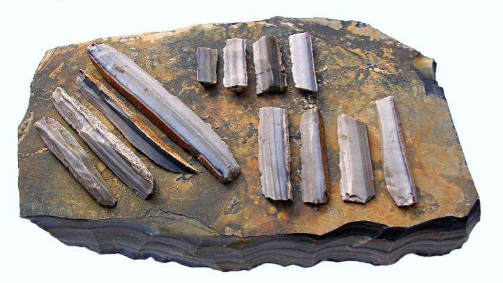 ArchaeologieOn's tweet photo. Das älteste Geld der Welt?: Plattenhornsteine aus Niederbayern könnten vor 7.000 Jahren die Grundlage eines ersten Währungssystems gewesen sein. https://t.co/9hfS7yHOGh #archäologie https://t.co/TvKTWIMyzy