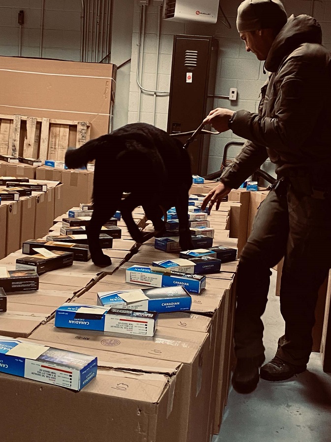 RCMPNL's tweet image. #RCMPNL conducts traffic stop at Marine Atlantic Terminal in Port aux Basques and seizes 2.7 million unstamped cigarettes. rcmp-grc.ca/119007