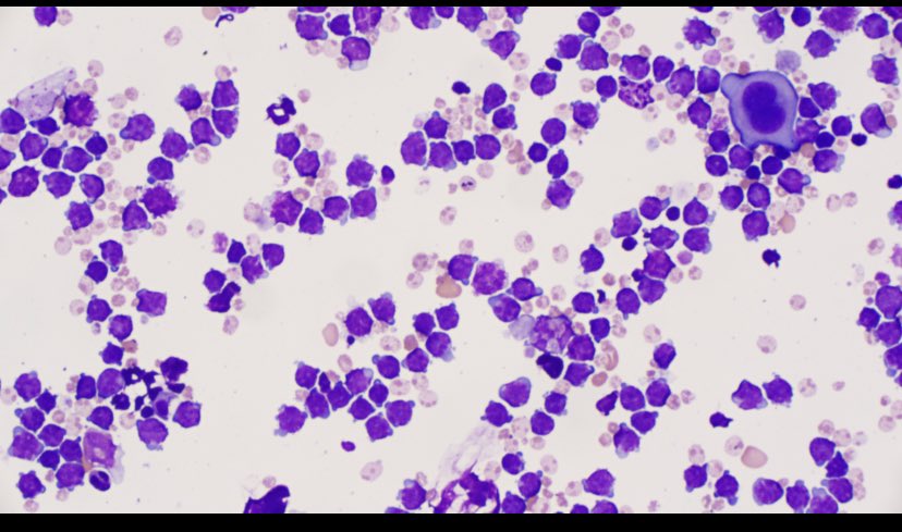 Kathryn Clarke tweet media