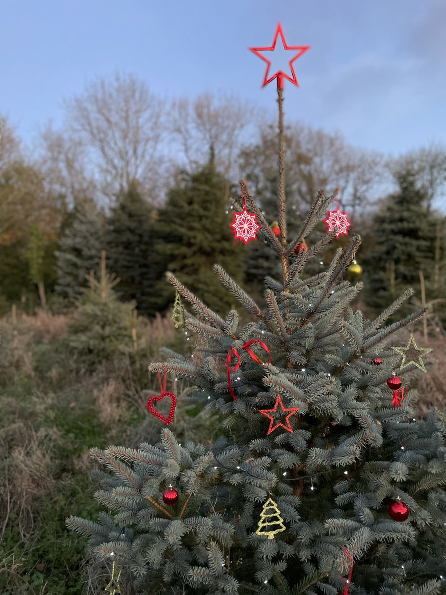 CharltonParkEstate (@charltonparkest) on Twitter photo 🎄🎄🎄Annual Christmas Hamper Giveaway Entry Details🎄🎄🎄
charltonparkestate.com/charlton-park-… 🎄🎄🎄Annual Christmas Hamper Giveaway Entry Details🎄🎄🎄
charltonparkestate.com/charlton-park-…