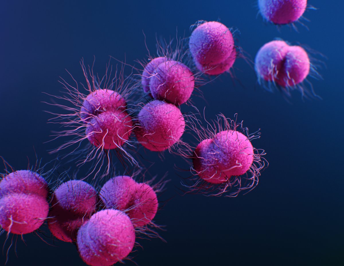 #Gonorrhea is becoming harder to treat. It’s only a matter of time until it becomes resistant to the last available cure. Learn more for #USAAW22: cdc.gov/std/gonorrhea/…