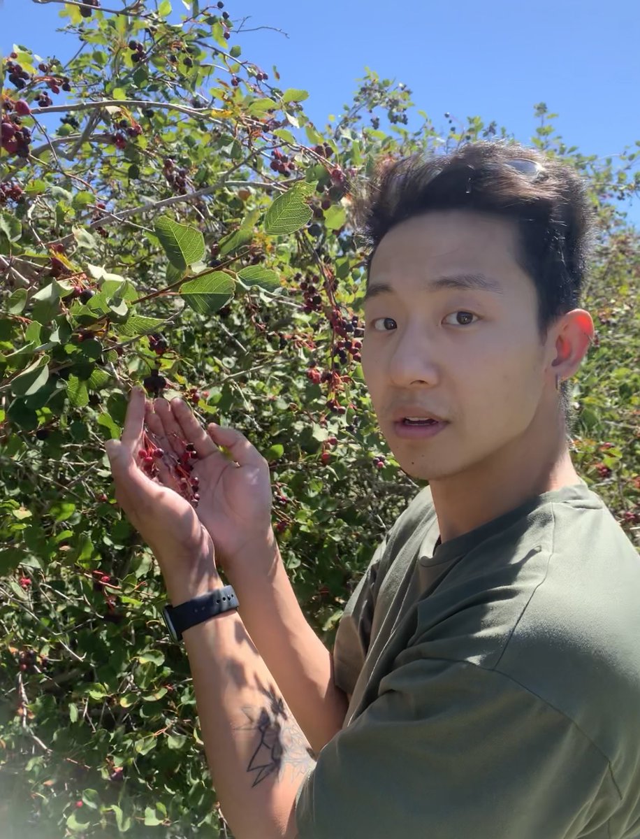 Nanalysis's tweet photo. Where do you wear your #nanalysis #NMRsocks?
Post a pic with your socks and tag us!
#berrypicking #upick #saskatoonberry #NMR #ChemTwitter #sciencesocks #benchtopNMR #ChemEd #funkysocks https://t.co/H9y4Rh5NAX