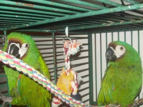 Good day to everyone out there. We are just sending out a reminder that we have moved from Edmonton Alberta. We are now back in Golden Lake Ontario. Which is 2 hours before Ottawa Ontario and 35 minutes before Pembroke Ontario. Have a good day.