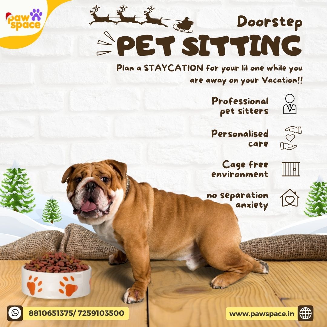Pawspaceindia's tweet photo. Planning A year-end trip. Plan a Worry-Free Staycation for your pet while you are planning away your Vacation!
We're there for your pets! Personalized Doorstep Sitting service-AVAIL NOW!
Choose trustworthy &amp; certified Sitters from PawSpace.
DM us or visit https://t.co/zchOTjeovZ https://t.co/ByGxu8JFfJ