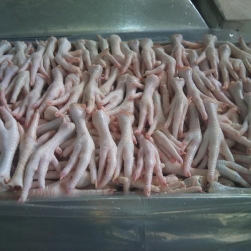 Pawsupplier's tweet photo. FROZEN CHICKEN FEET | FROZEN CHICKEN PAWS | FROZEN CHICKEN WINGS | FROZEN CHICKEN LEGS

1.Frozen Whole chicken
2.Frozen chicken Feet
3.Frozen chicken Paws
4.Frozen chicken Wings
5.Frozen chicken Legs
4.Frozen chicken Wings

Contact Us:
E-mail: customink75@gmail.com

#chickenpaws https://t.co/3csoyrhpcR