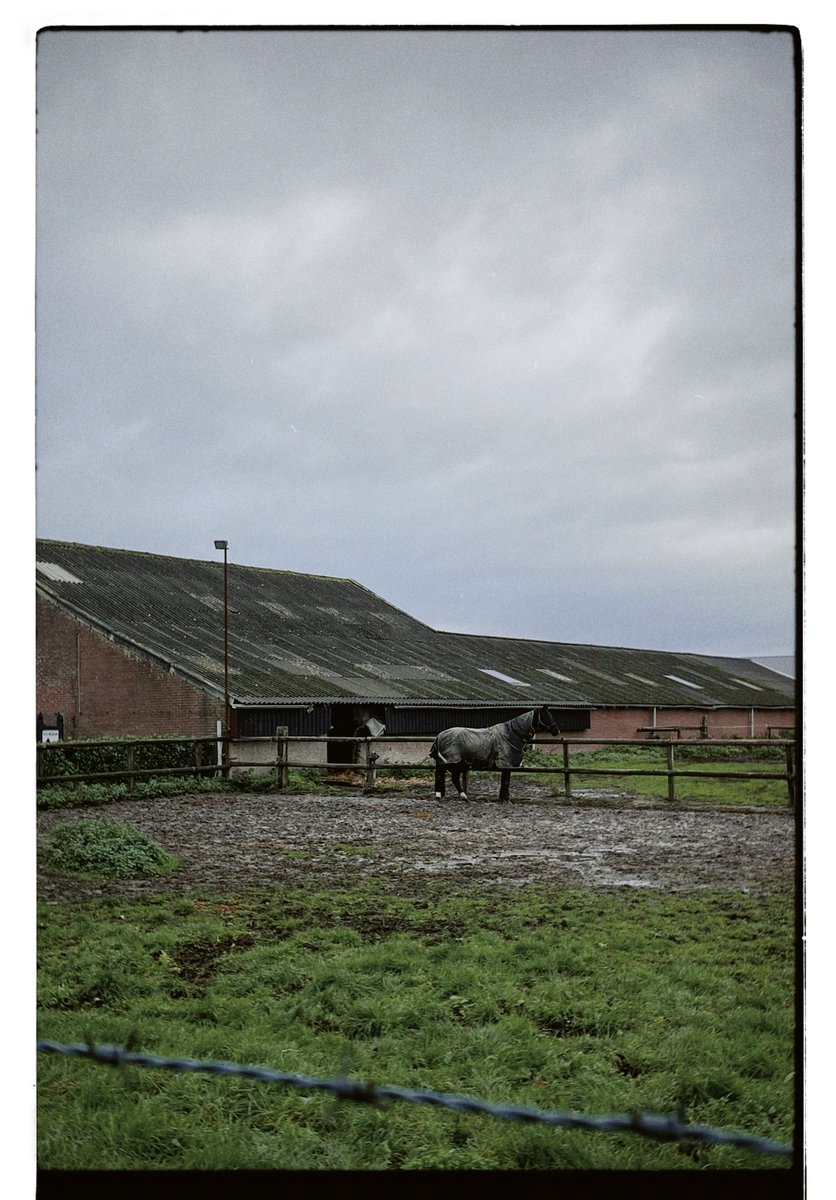 Francisco Fonseca tweet media