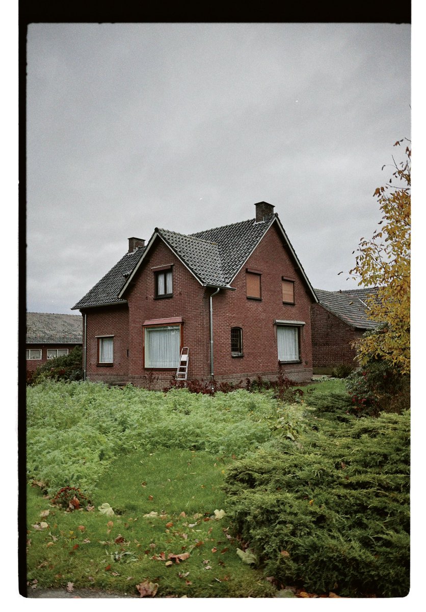 Francisco Fonseca tweet media