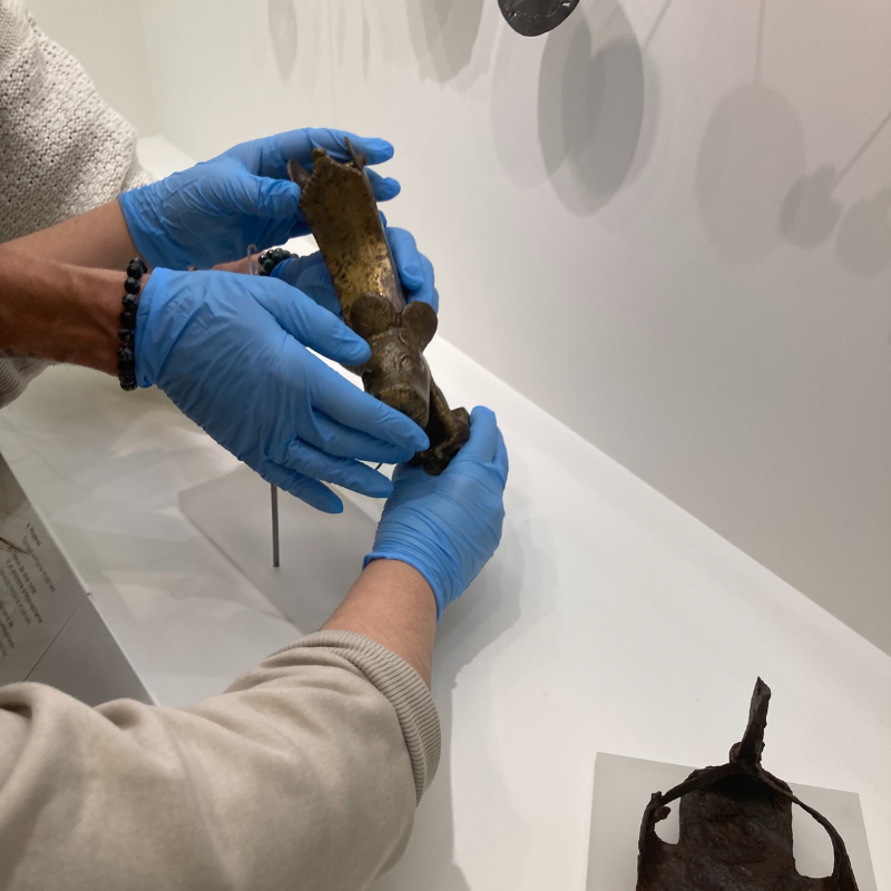 MuseeRomanite's tweet photo. [EN DIRECT] Aujourd'hui, notre responsable du département des collections et notre agent technique ont extrait plusieurs œuvres des vitrines pour pouvoir les prendre en photos. Cette action a pour but de compléter les archives du musée et parfaire notre base iconographique. https://t.co/aZ4SWANXWX