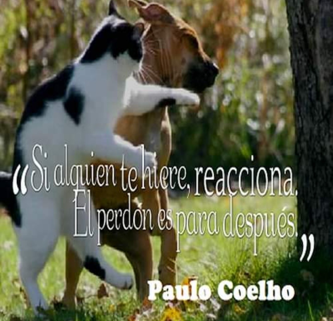 Paulo Coelho Español (@paulocoelhodice) on Twitter photo 