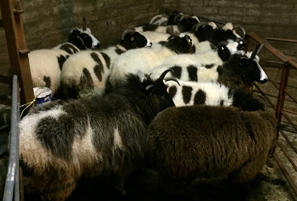 RBST - Caledonian Support Group tweet media