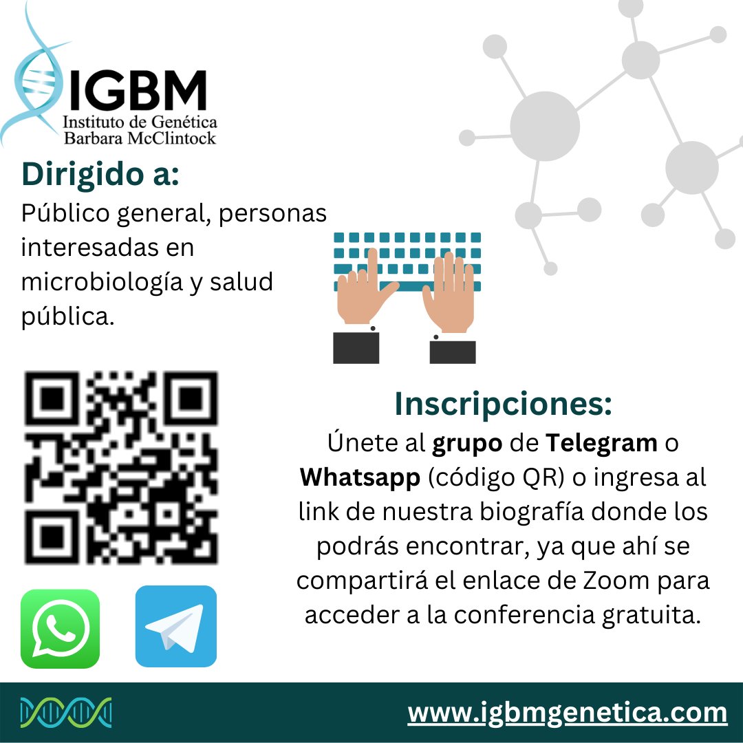 igbmgenetica's tweet photo. Encuentra los grupos en https://t.co/w3kWk1RyBb #igbmgenetica #igbm #biotecnologia #biotecnología #microciologia #investigación #investigacióncientífica #investigacion #research #biología #microbiología https://t.co/3sDZy33qpO