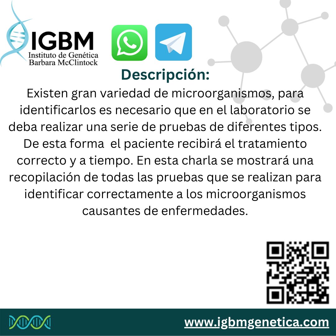 igbmgenetica's tweet photo. Encuentra los grupos en https://t.co/w3kWk1RyBb #igbmgenetica #igbm #biotecnologia #biotecnología #microciologia #investigación #investigacióncientífica #investigacion #research #biología #microbiología https://t.co/3sDZy33qpO