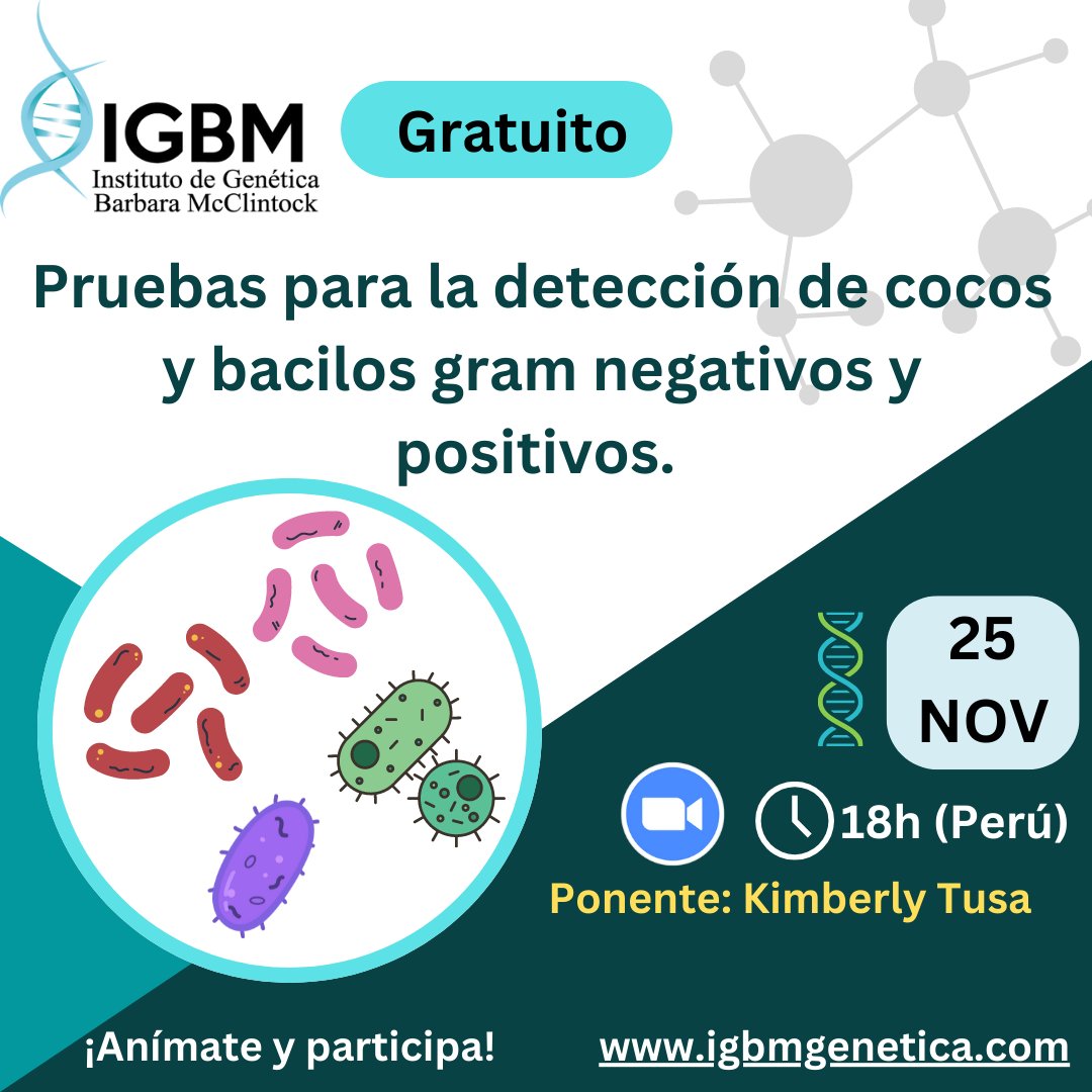 igbmgenetica's tweet photo. Encuentra los grupos en https://t.co/w3kWk1RyBb #igbmgenetica #igbm #biotecnologia #biotecnología #microciologia #investigación #investigacióncientífica #investigacion #research #biología #microbiología https://t.co/3sDZy33qpO