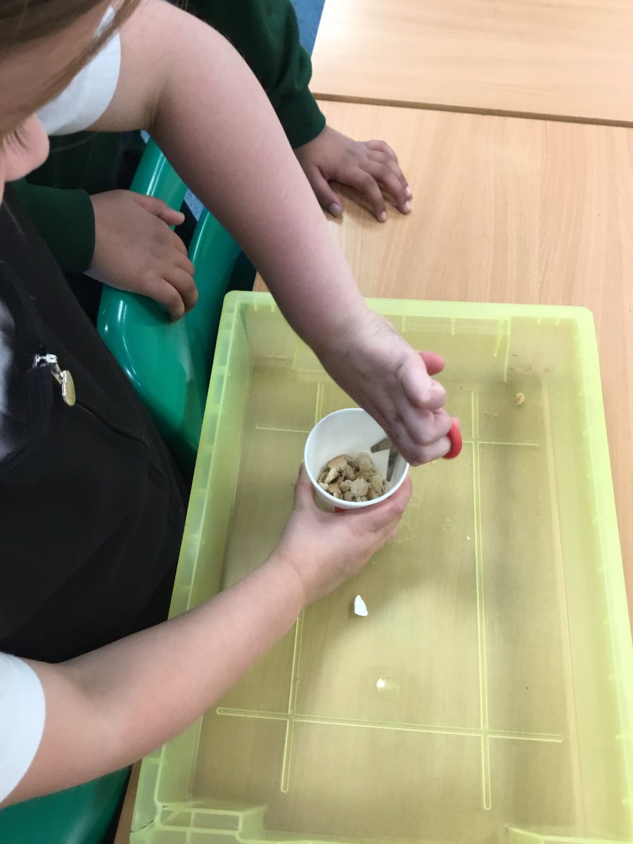 HighwoodPrim4W's tweet photo. Today we recreated the digestive system! Can you spot our teeth, mouth, stomach, small intestine and large intestine! https://t.co/XFlH9esNW7