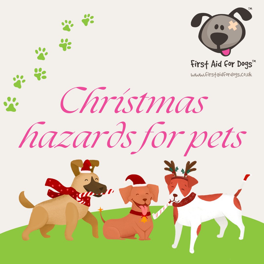☃️With wintery weather upon us and Christmas coming up,  there are a number of changes to our environments that can mean danger for our pets, especially dogs that are out and about. 🎅Here's a few potential hazards to be aware of: firstaidfordogs.co.uk/news/pets-at-c…

#DogsAtChristmas