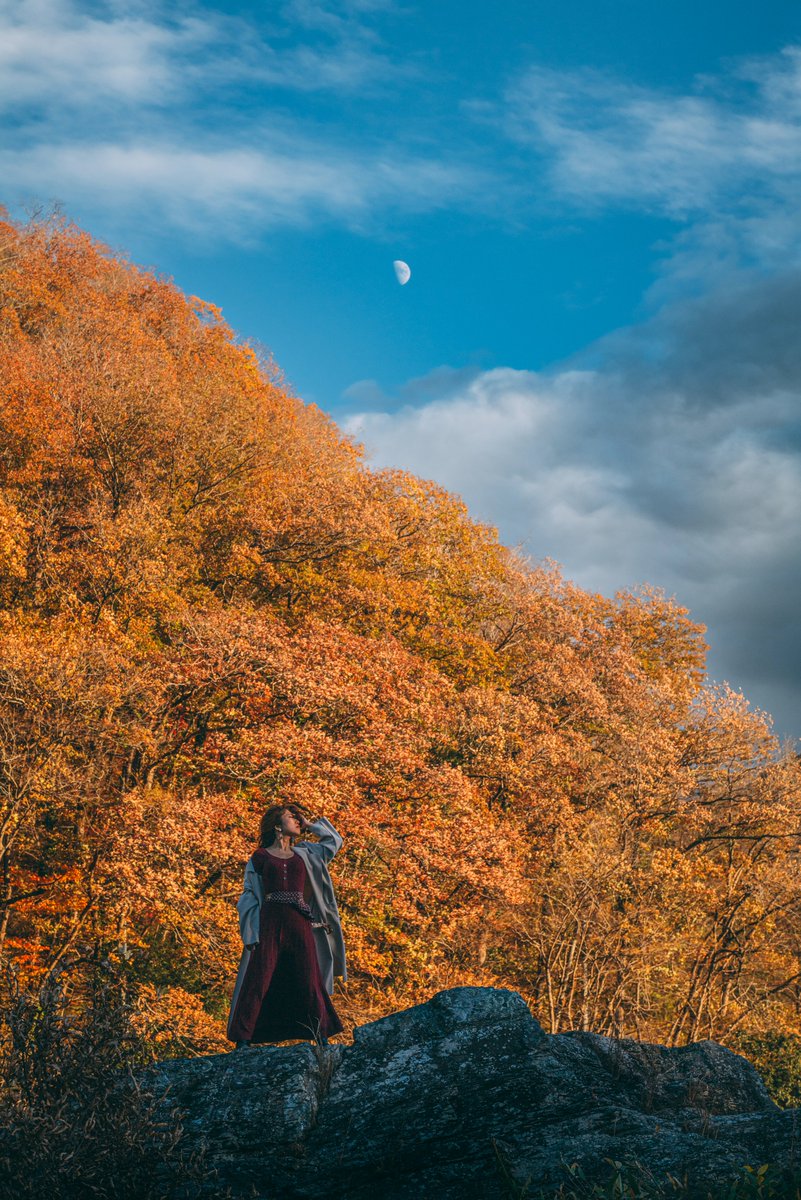 zaq_de_la_rocha's tweet photo. fall foliage https://t.co/8FJeNYWFx4