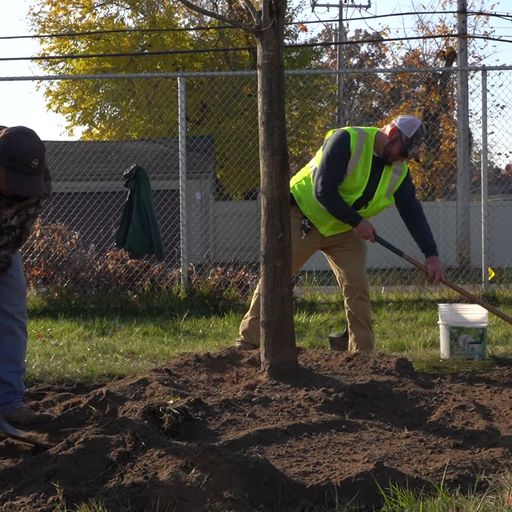 Project EverGreen tweet media