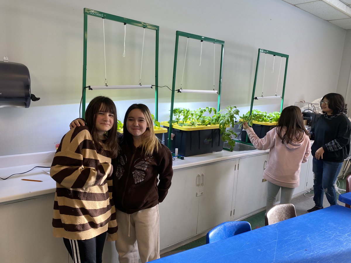 meghan8899's tweet photo. Some of our students have been talking to our plants to help them grow! I don’t know, but something is definitely working!! @SucSeedCanada @LakeMelvilleLab https://t.co/xiZqesQiRu