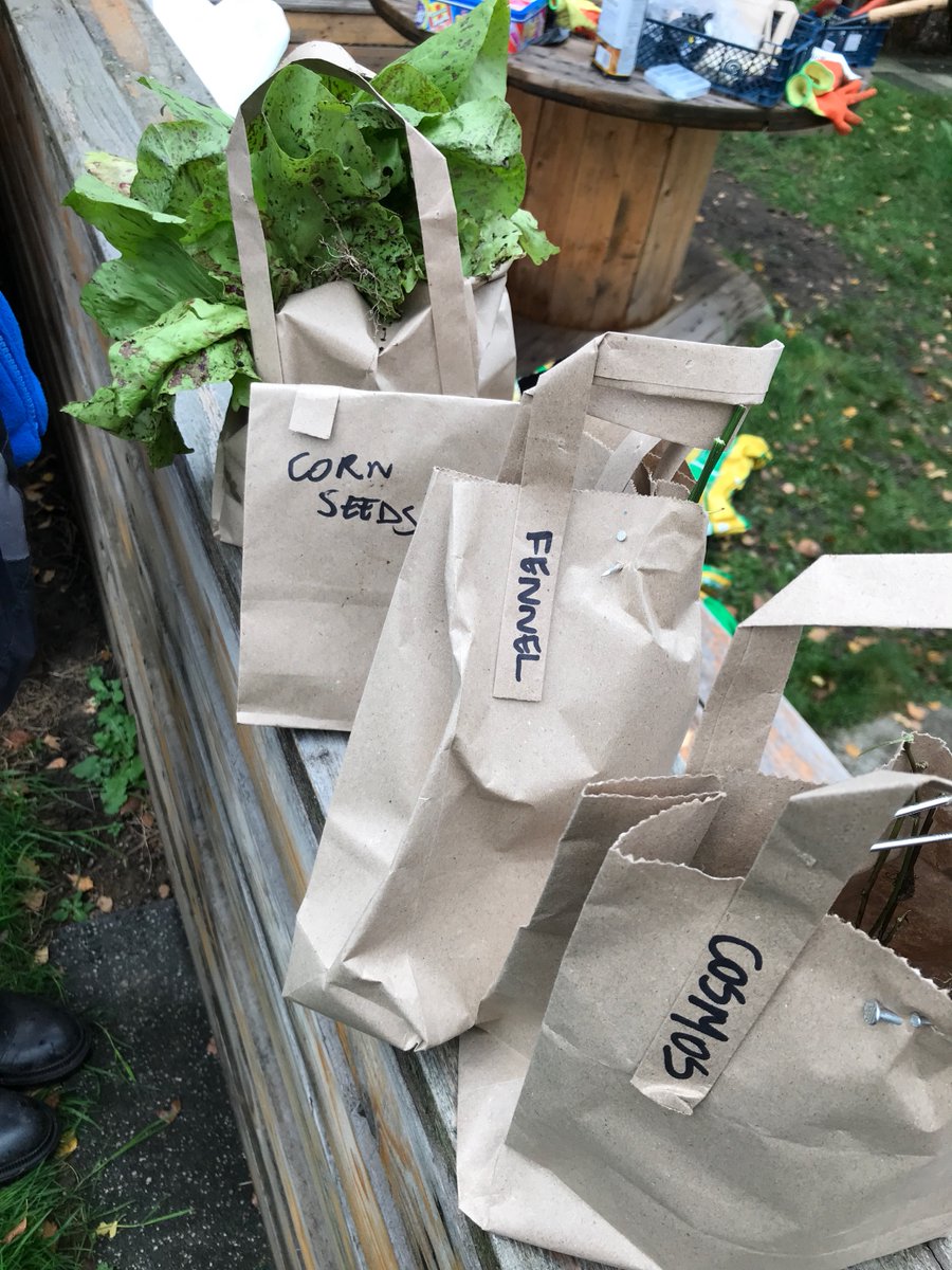 UoS_Sustain's tweet photo. We had a busy morning today at the community growing space:
❄ we prepared the plants for winter,
🧅 planted onions &amp; beans,
🌱 and harvested some veg &amp; seeds to plant in the spring.
Thank you @UOSWildSociety and @SalfordWildlife for a great session 💚👨‍🌾 https://t.co/kURWfNNc8K