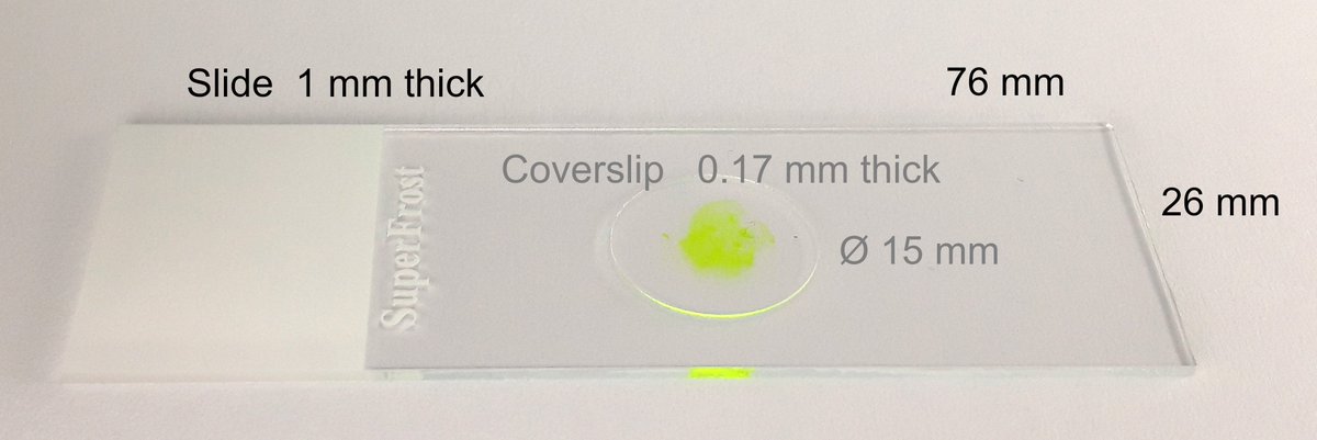 LorentzPascal's tweet photo. My Tips & Tricks article was published in #wileyanalyticalscience. I hope it will be helpful to many microscopy users.
Check out the article on the importance of coverslips in microscopy.
https://t.co/bxUC6c4d5t
@DepBiomedicine
#microscopy https://t.co/LtOCbsuimg
