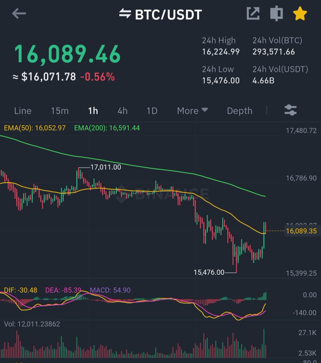 crypto gains 🥊 tweet media