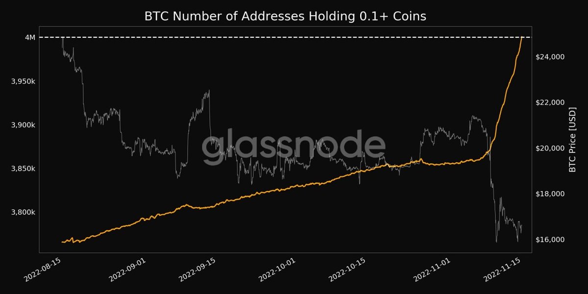 lucadezmir's tweet photo. There is a silent revolution brewing: ordinary people buy Bitcoin  in an unprecedented way. The number of wallets holding 0.1+ BTC is growing parabolic. https://t.co/9o90EVi4Da