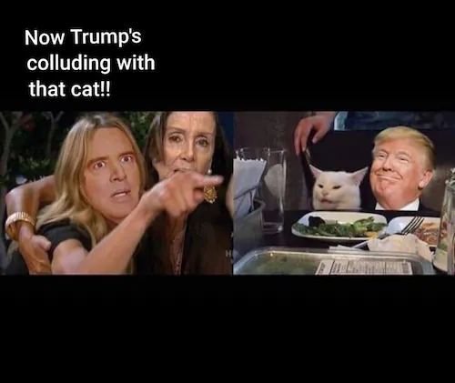 🤣🤣🤣