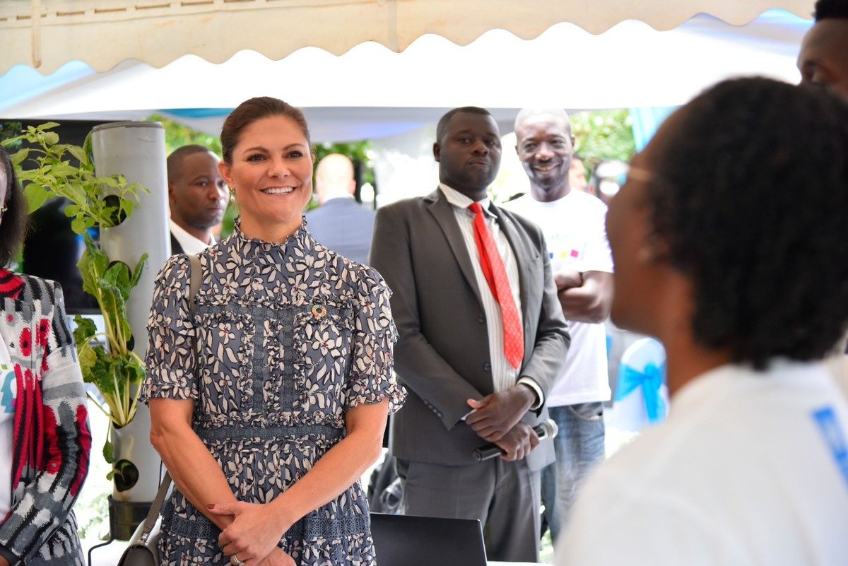 UNDP Africa tweet media