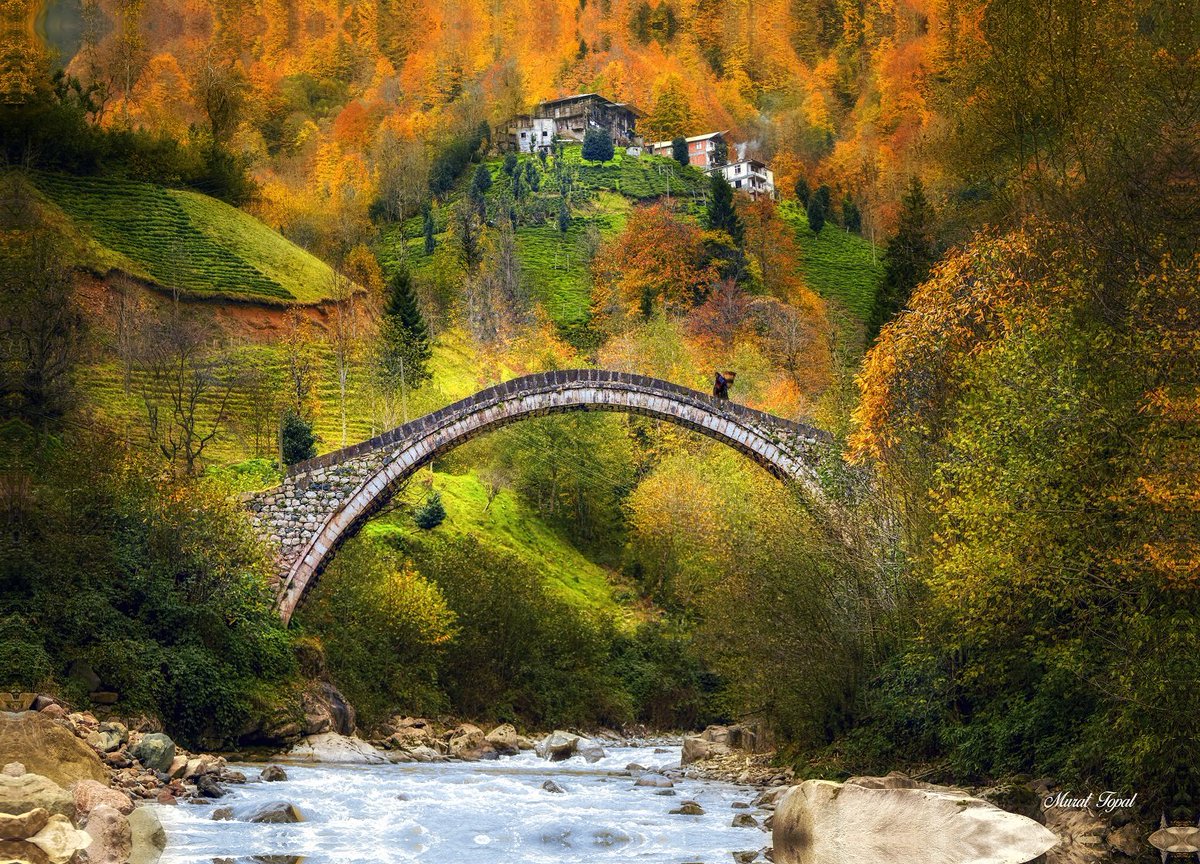 rizeiktm53's tweet photo. Vadilerde sonbahar... tarihi köprüler, konaklar... renk cümbüşünde ağaçlar...
Her mevsimin şehri Rize 🌲🍁🍂

📷 IG: murattopalphotography 

@GoTurkiye #GoRize #Rize #Çayeli  #YeşiltepeKöyü(Kaptanpaşa) Köprüsü
https://t.co/qOzsSl0H3z https://t.co/Q45PmJoO0X
