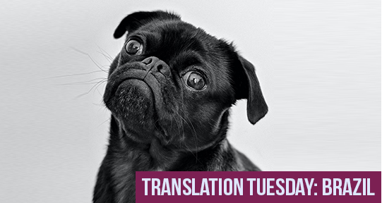 asymptotejrnl's tweet photo. What's new this #TranslationTuesday?
Jabuti Prize winner Carla Bessa gives us an intimate look "into the frantic interior of a woman (like any other) and her everyday frenzy." https://t.co/mYTcoqo16O https://t.co/oMM8dVqkgW