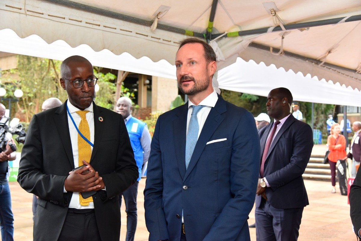 UNDP Africa tweet media