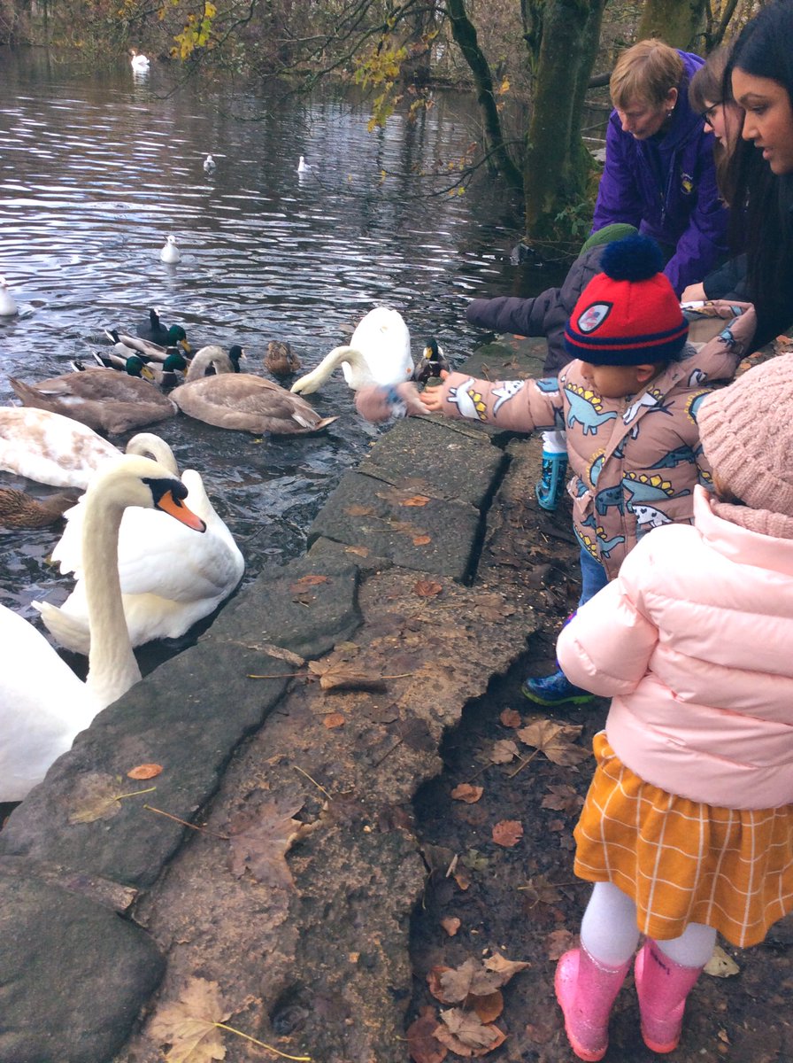 ECS_Keighley's tweet photo. We enjoyed experiencing feeding the ducks for the first time in outdoor learning. #50TTD #LoTc #outdoorlearning #29pitterpater #34woodlandwandering #41waterfeature https://t.co/Eru3Elbxku