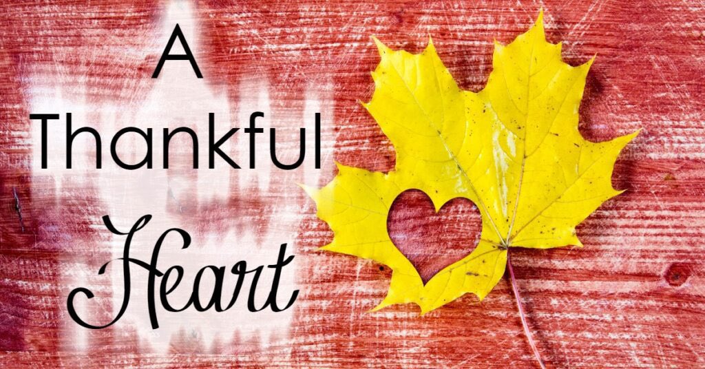 1talianG1rly's tweet photo. I am #Thankful for all of it
The highs
The lows
The blessings
The lessons
The setbacks
The comebacks
The love
I am Thankful for another day & Grateful for the people who love me
#ThankfulHeart
#MyHeartIsFull
#TheKeyToMyHeart 🗝 #MyBoys
#ThanksgivingWeek https://t.co/JGg9Q0t18X