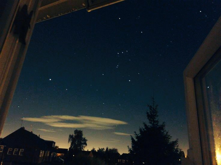 А давай сегодня не будем спать до утра? Сходим посмотрим на звезды? Или если ты боишься ночного холода пододвинем кровать к окну, отдернем шторы и в ночном сумраке будем разглядывать это ложное небо на наличие трещин пока не уснем средь мягких перин. Как тебе идея?