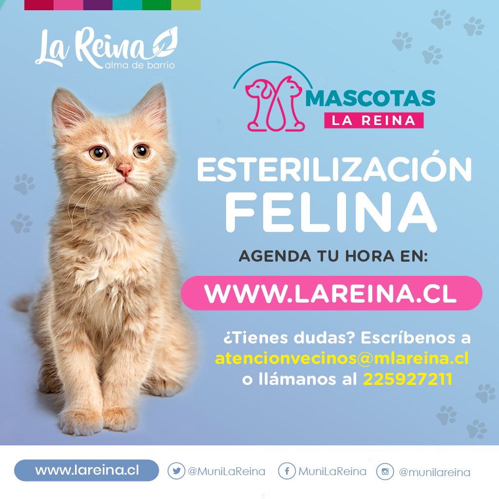 La Reina tweet media