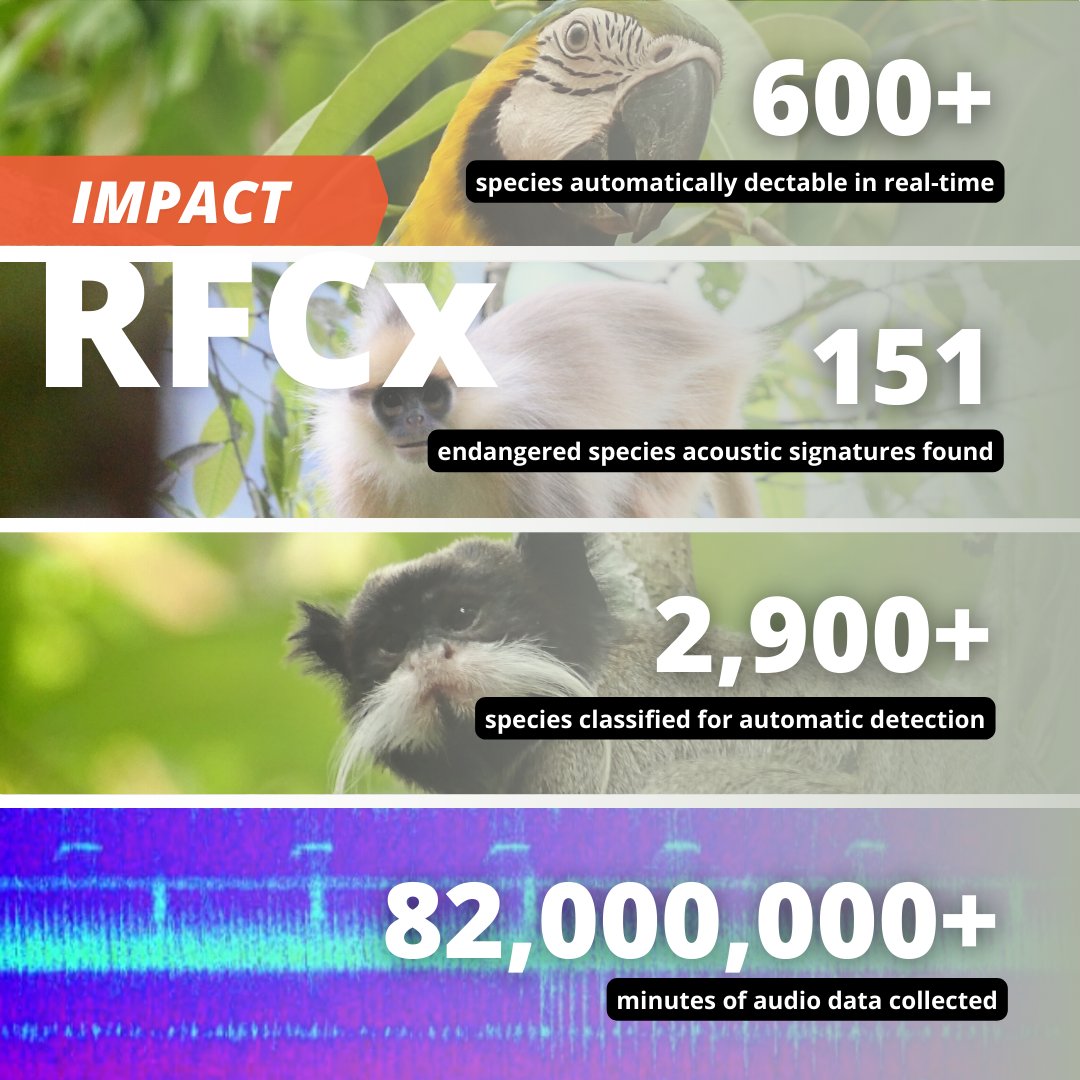 RainforestCx's tweet photo. * UPDATE * on our impact!! 🔥 It's been a big year for us at Rainforest Connection as you can see by our new metrics 😏. This is only the beginning and we can't wait to keep going. Here's to protecting MORE rainforests, MORE species, and #usingtechtoprotect!! 💪 https://t.co/YjVJeWG05i