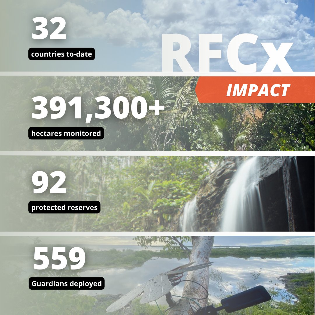 RainforestCx's tweet photo. * UPDATE * on our impact!! 🔥 It's been a big year for us at Rainforest Connection as you can see by our new metrics 😏. This is only the beginning and we can't wait to keep going. Here's to protecting MORE rainforests, MORE species, and #usingtechtoprotect!! 💪 https://t.co/YjVJeWG05i