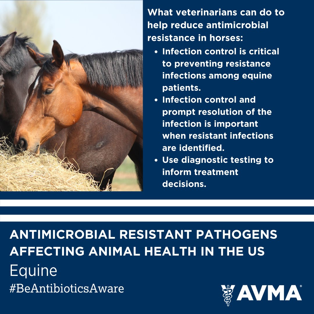 Tweet by AVMA (American Veterinary Medical Association)