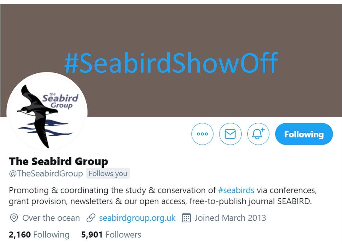 The Seabird Group tweet media