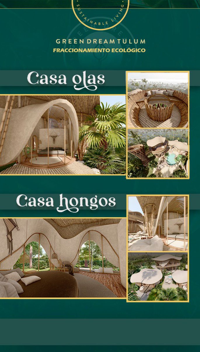 ECO SUSTAINABLE HOUSES
Houses responsible for the environment and made with natural materials, the greatest added value is your well-being!🌳 
#Sustainability #sustainable #development #developer