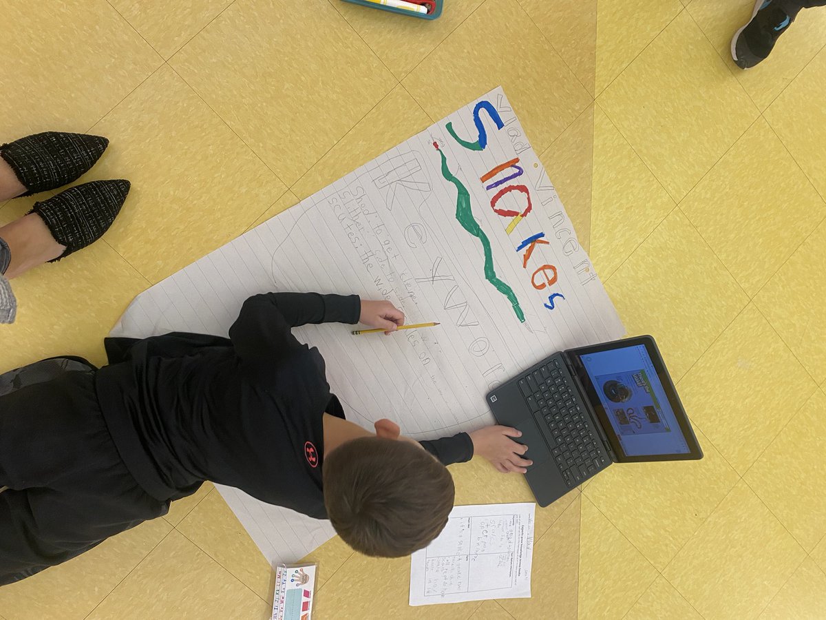 Bringing our nonfiction reading and writing units to life &amp; creating posters about the topics that we studied!! 🐍🐯🐼🏈