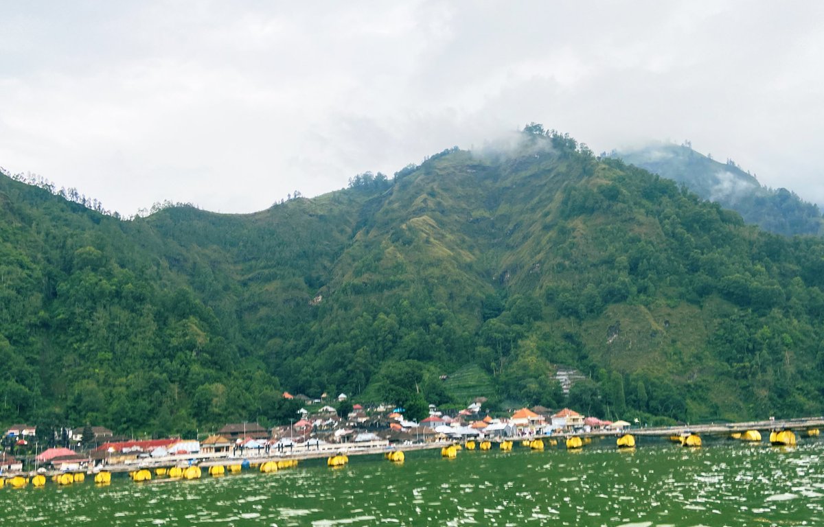 I learnt about #terunyan group who received their #hutanadat #customary forests June 2021. As the #IndigenousPeoples of Bali living around #Batur lake, they have managed their #forests for centuries. #GCF #RBP <a href="/UNDP_CF/">UNDP Climate & Forests</a> <a href="/UNDPIndonesia/">UNDP Indonesia</a> 
#BetterWithForests